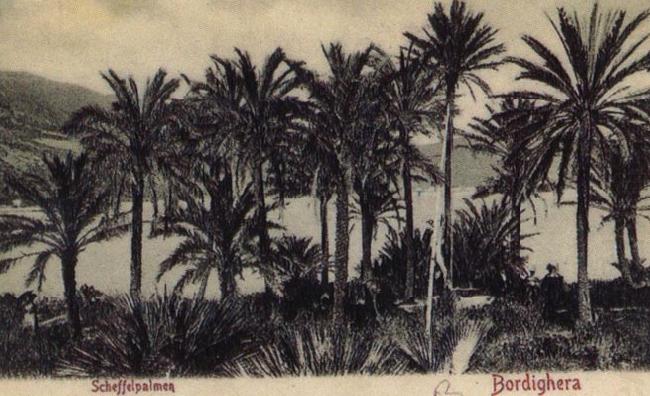 Pierre Renoir View of Bordighera:the Palms Postcard china oil painting image